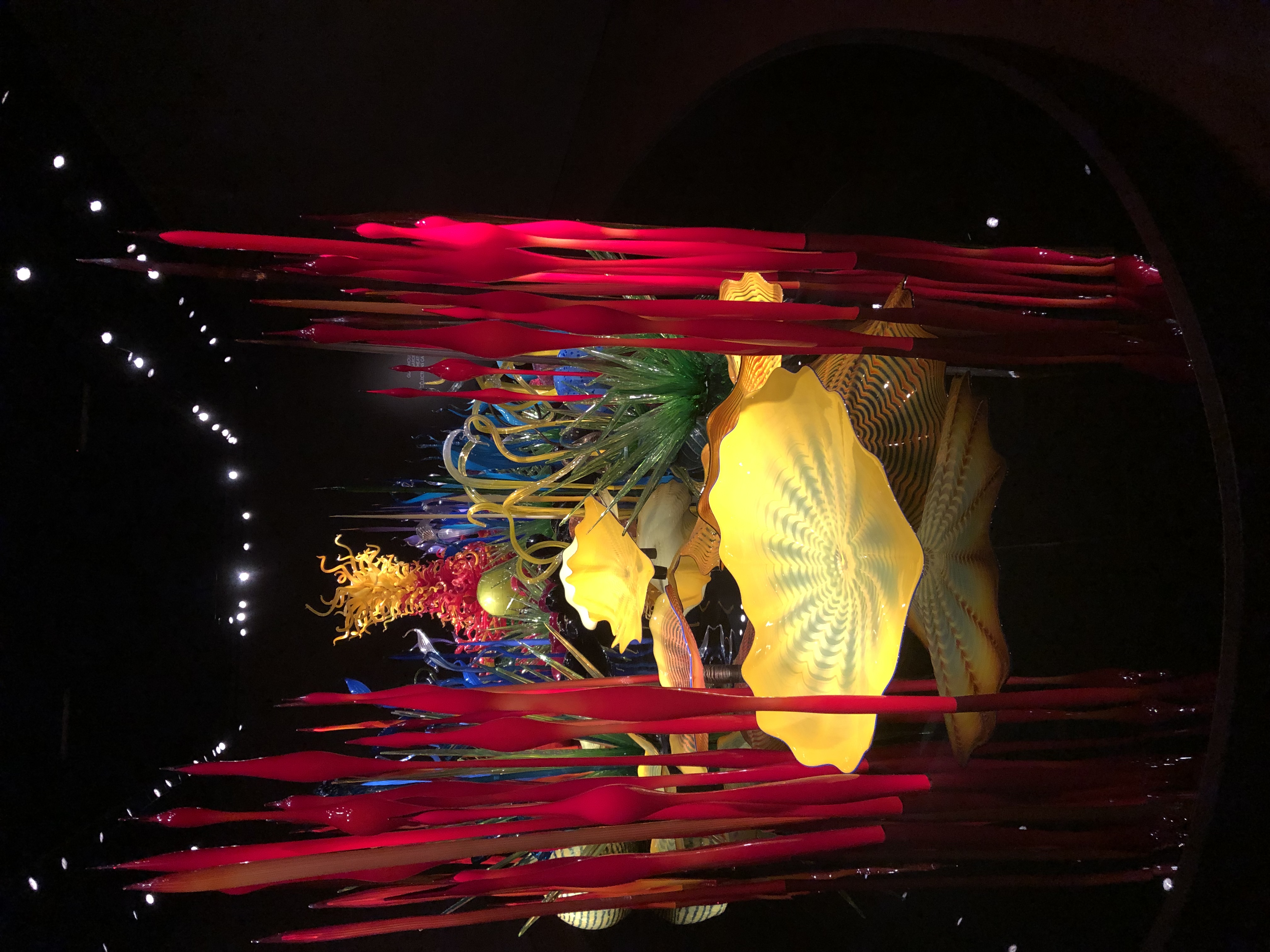 Chihuly Garden and Glass Museum